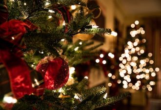 Elevate Your Christmas Decor With Hoselink Solar Lights